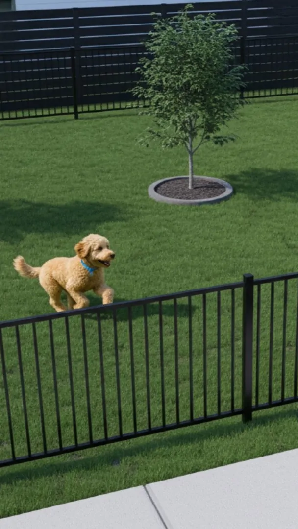 banner image